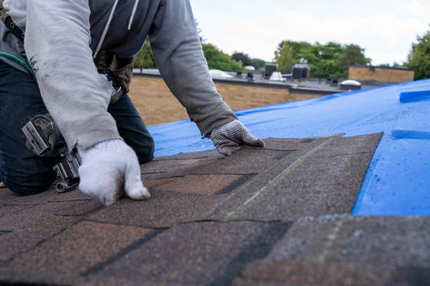 Best Commercial Roofing Services  in Falcon Heights, MN