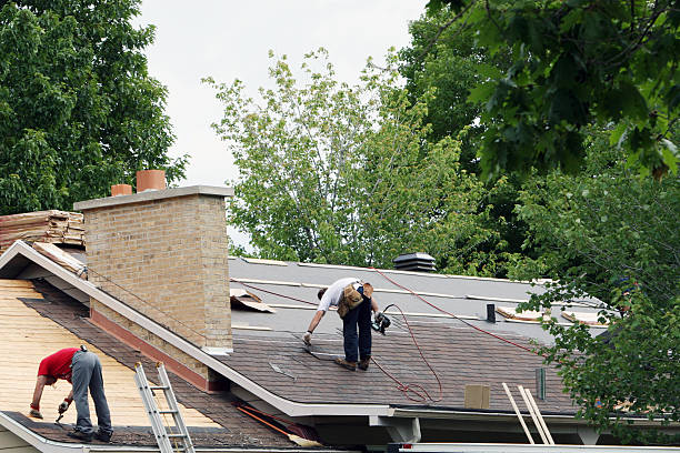 Best Storm Damage Roof Repair  in Falcon Heights, MN