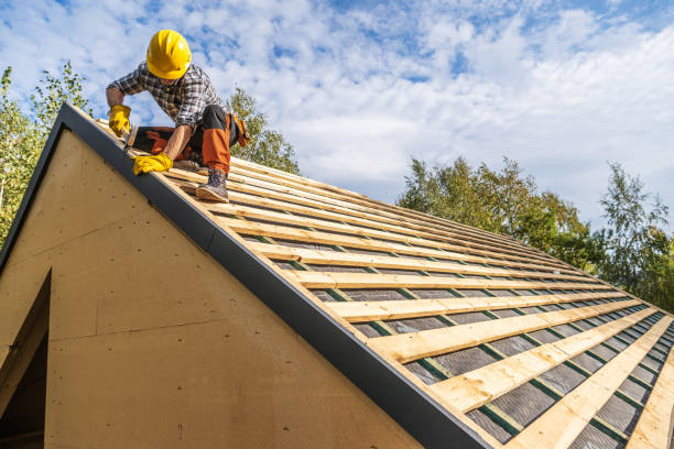 Best Flat Roof Repair Services  in Falcon Heights, MN