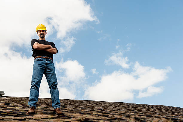 Best Roof Gutter Cleaning  in Falcon Heights, MN